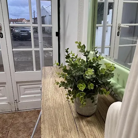 Caminho Da Pedro Miguel