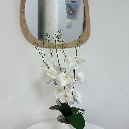 Lägenhet Caminho Da