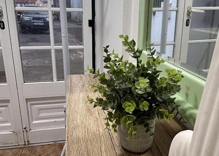 Caminho Da Pedro Miguel