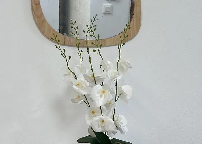 Appartamento Caminho Da