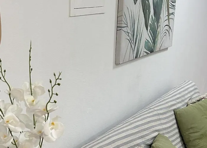 Caminho Da Pedro Miguel